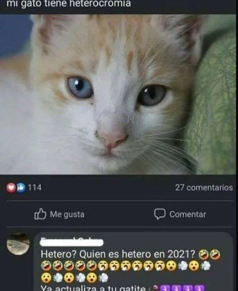 ok.... - meme
