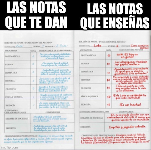 no se si se leera pero los boletines estan sacados de los comics de Lobo - meme