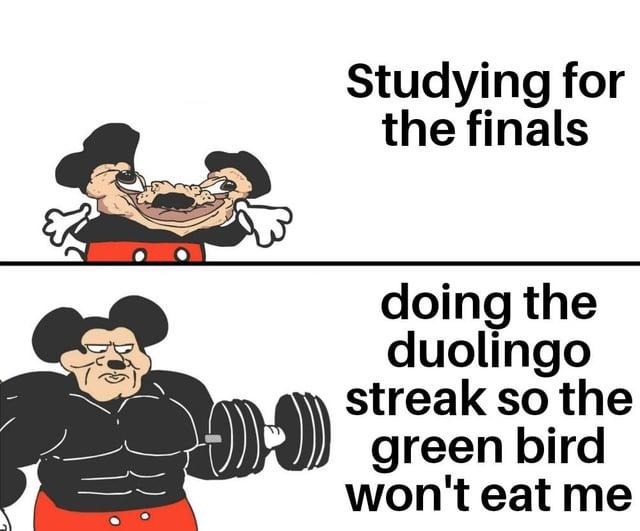 Studying for finals while keeping the Duolingo bird happy - meme