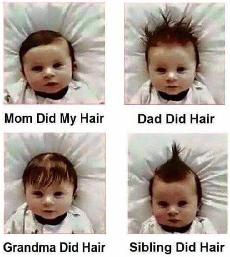 The hairstyles of the family tree - meme
