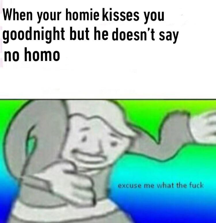 No homo my homie - meme