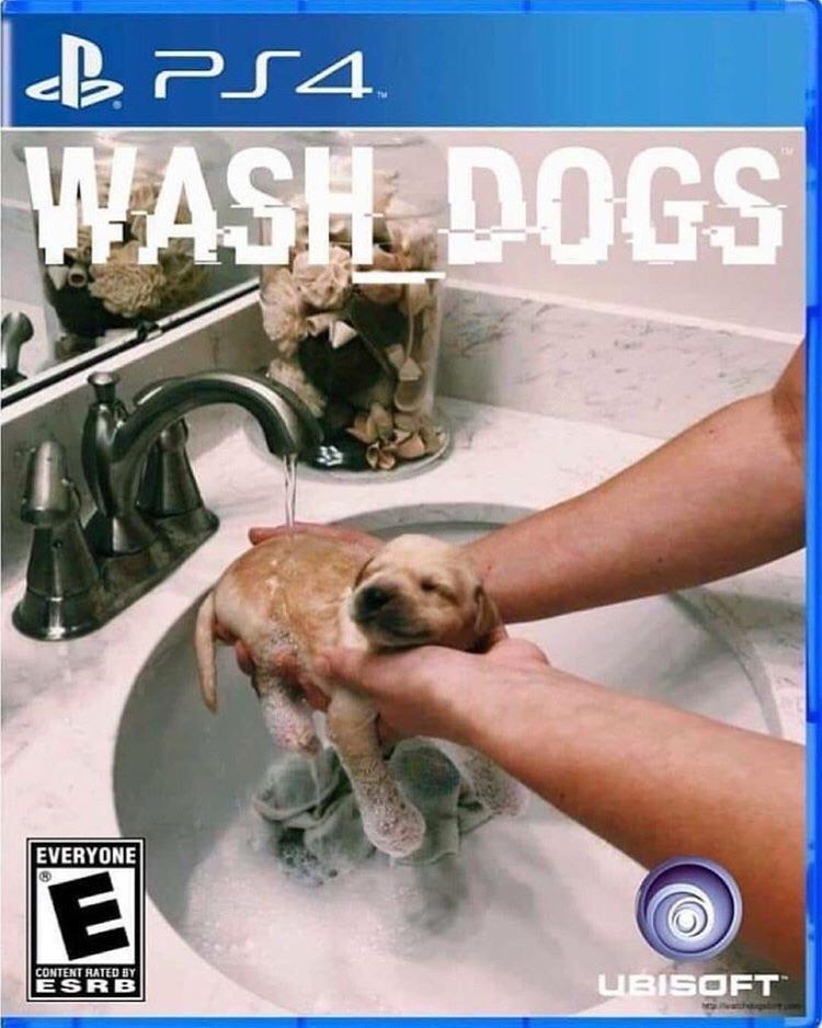 Wash Dogs - meme