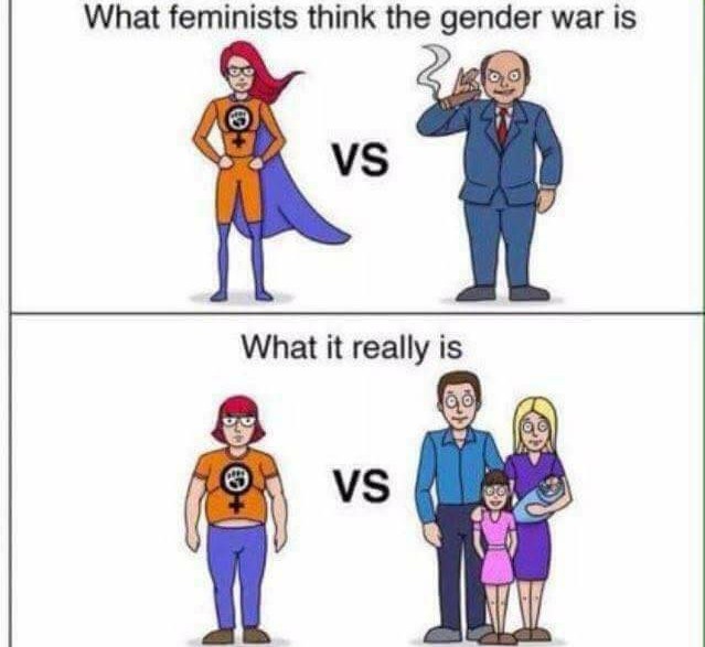 Ugh, femnazis - meme