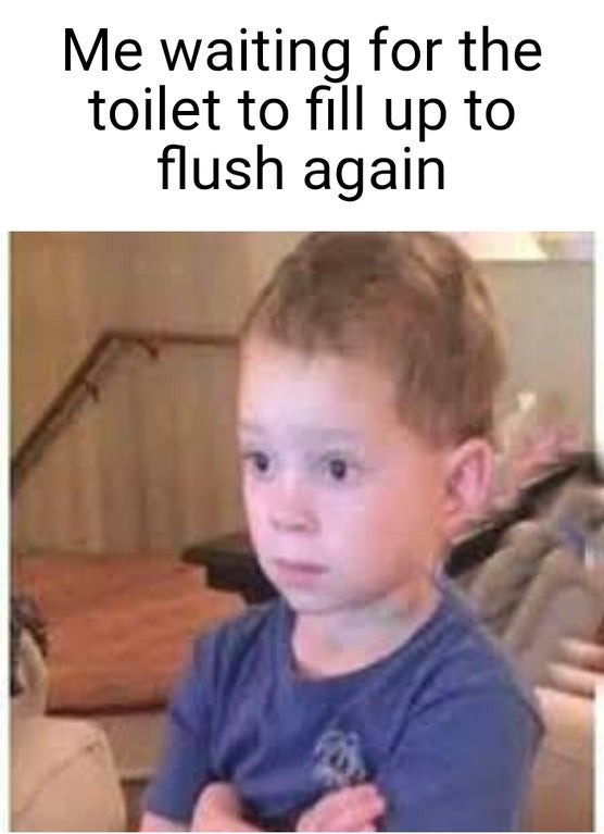 Me waiting for the toilet to fill up to flush again - meme