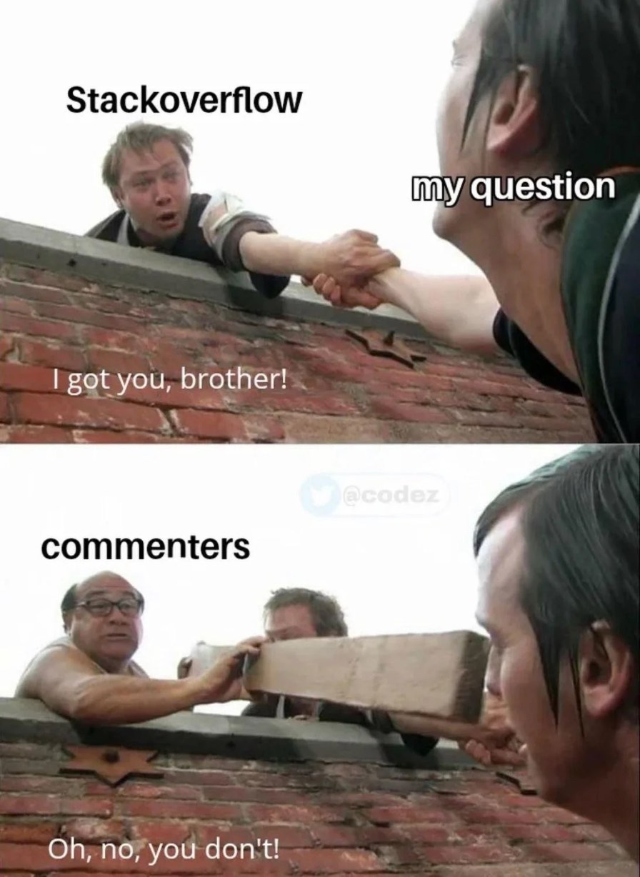 Only masochists actually post on Stackoverflow - meme
