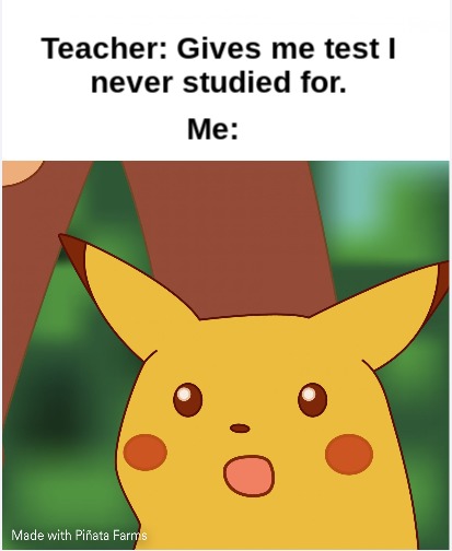 Me not studying for a test - meme