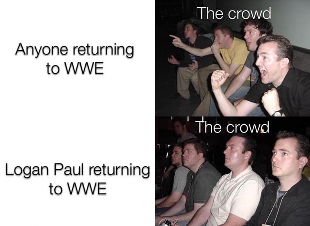 Logan Paul returning to WWE - meme