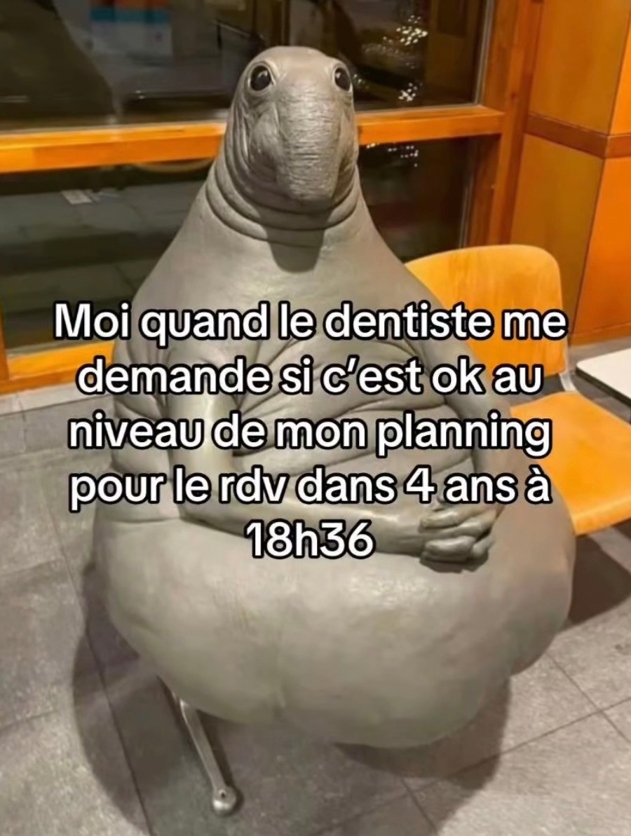 le dentiste qui veut caler un rdv dans 4 ans comme si j'savais - meme