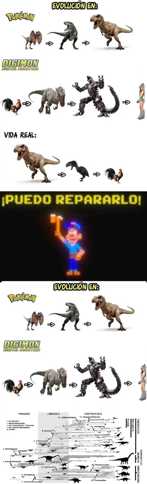 Me tienen cansados con eso de pensar que la evolucion es lineal y que el rex es el antepasado de las aves, la evolucion es un arbol con millones de ramas, y la aves descendieron de dinosaurios pequeños y emplumados, no del rex - meme