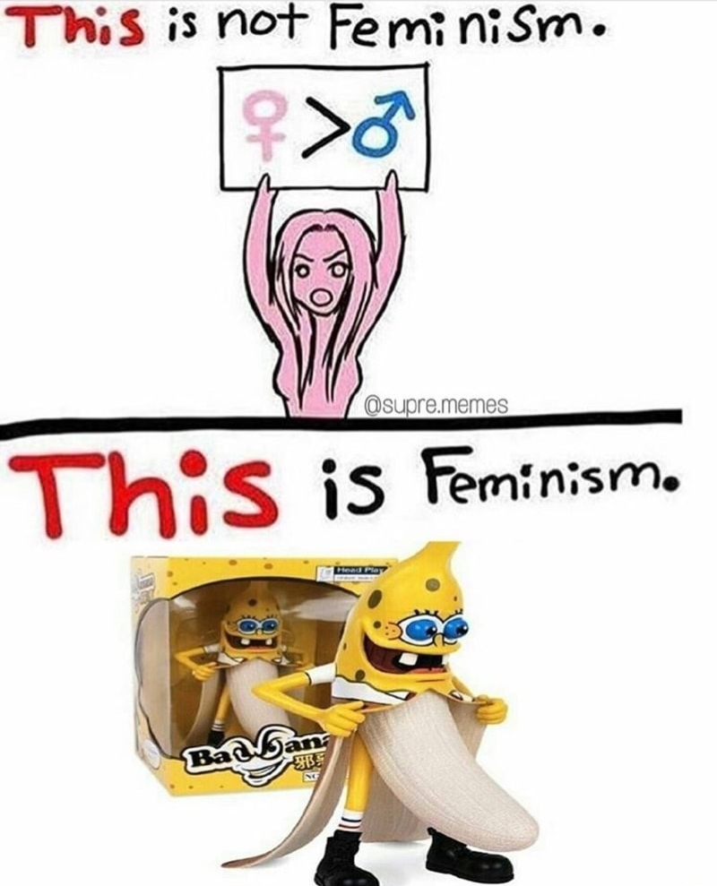 Im a feminist - meme
