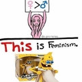 Im a feminist