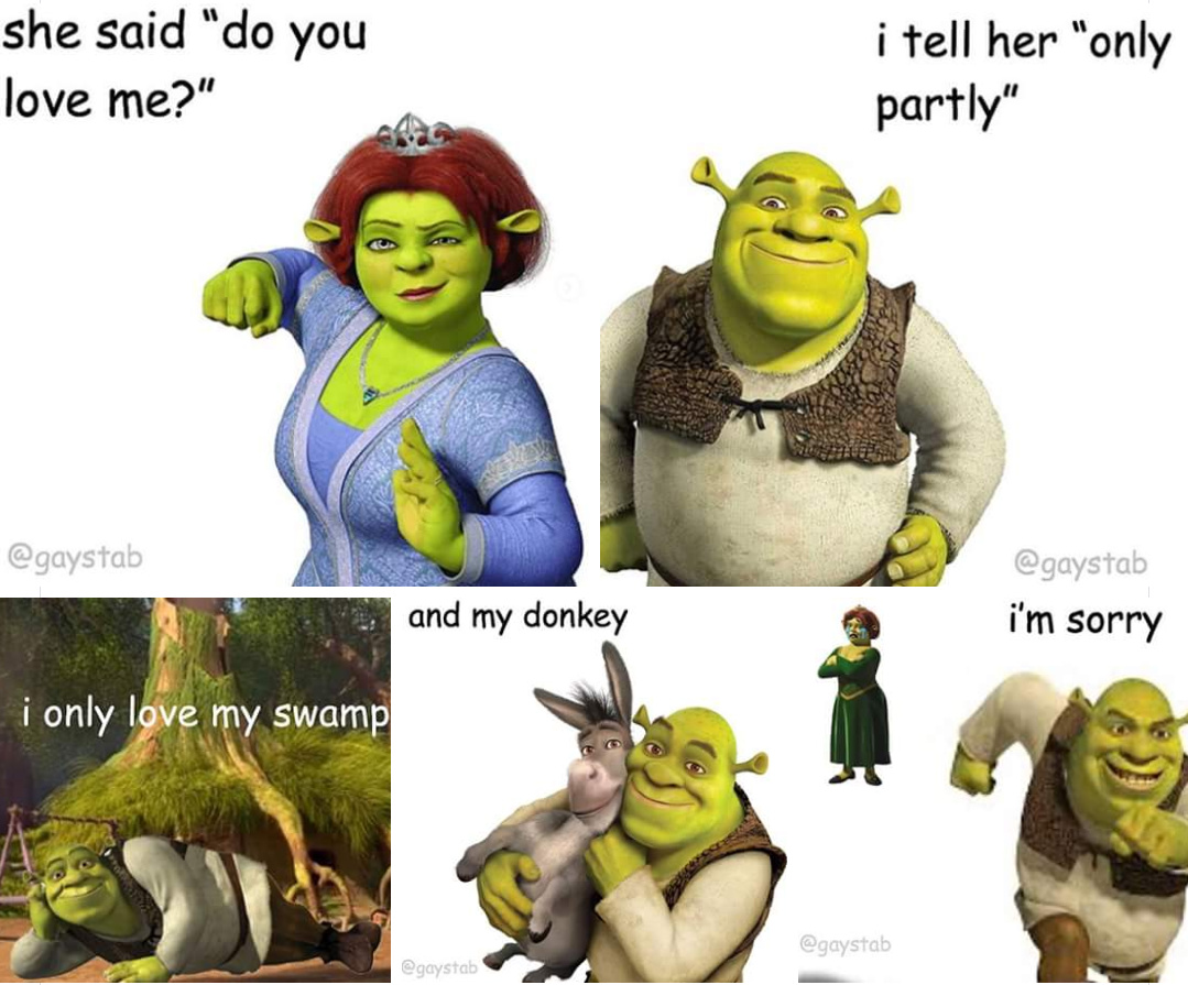 shrek#loveshrek#meme#shrekmeme in 2023