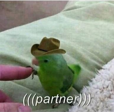 Howdy pardner - meme