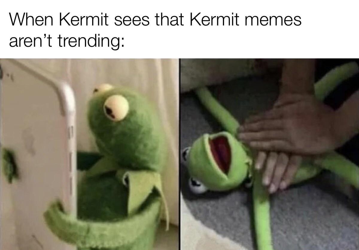 calm down kermit - meme