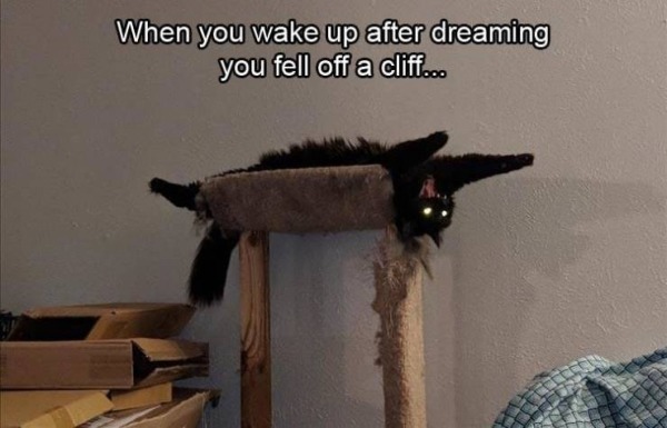 Dreaming you are falling from a cliff - meme