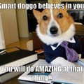 Smart doggo believes!