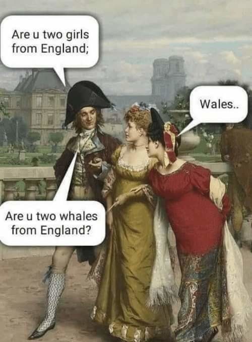 Whales - meme