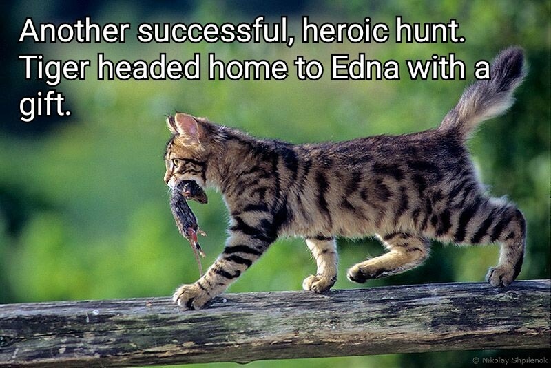 Mighty Hunter - meme