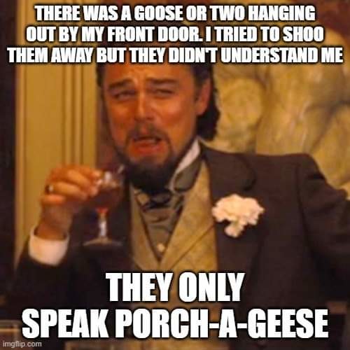 Porch geese - meme