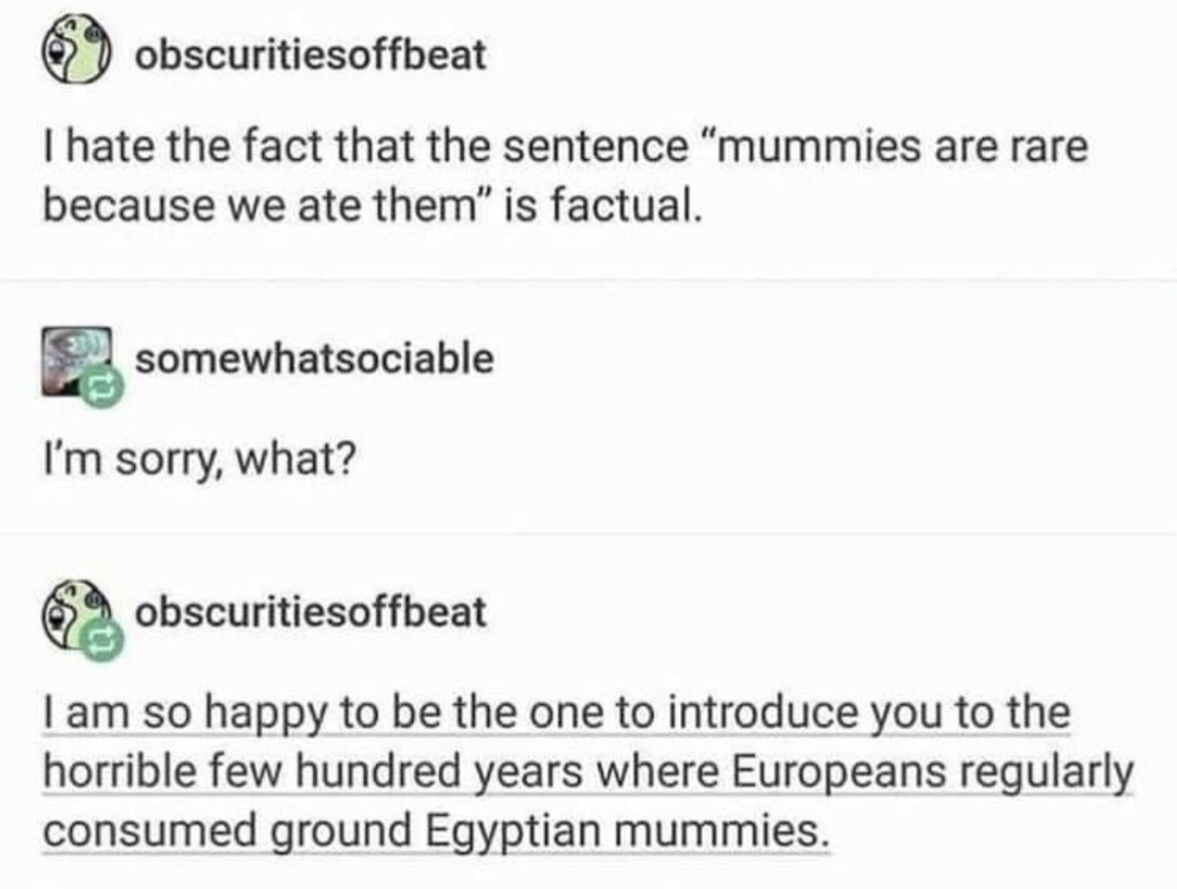 Mummies are rare because... we ate them. Yes, really. - meme