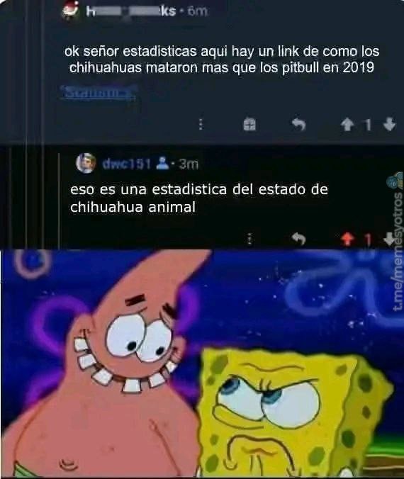 estadísticas locas: los chihuahuas ganaron la guerra a los pitbull en 2019 - meme