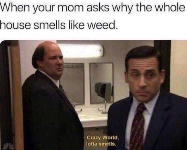 When your mom asks why the whole house smells like weed - meme