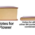 VOTE FOR FLOWER @ tiny.cc/vote for flower