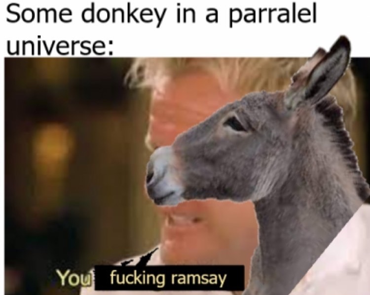 you fucking donkey - meme