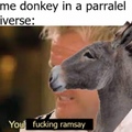 you fucking donkey