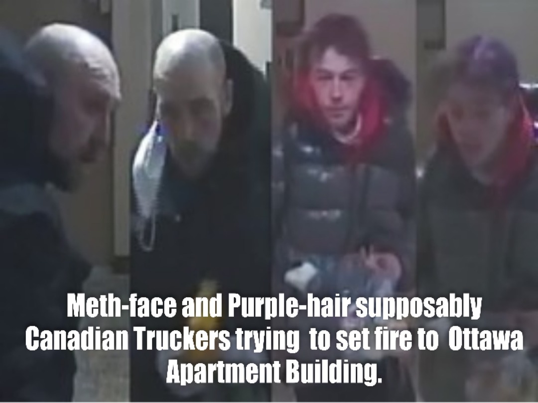Funny that with eyewitnesses, surveillance tapes, facial photos, the Canadian authorities can’t seem to apprehend these self-identified arsonist protesters. - meme