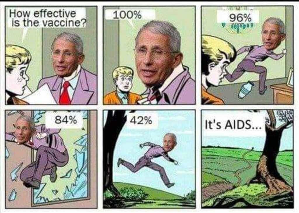 How effective is the vaccine....100%...96%...84%...42%...IT'S AIDS... - meme