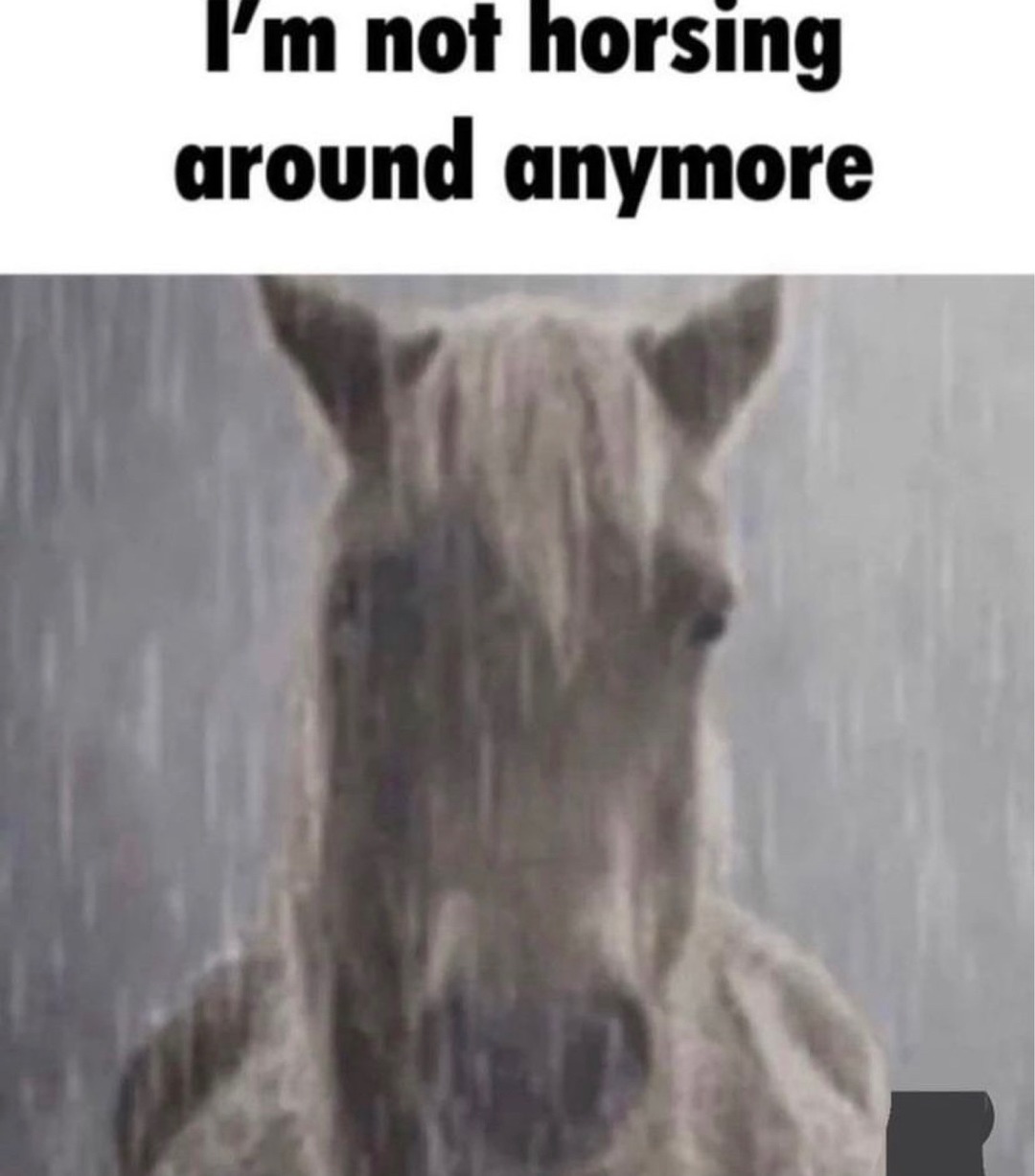 he not horsing around - meme