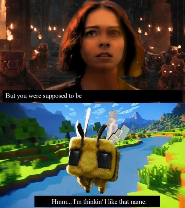 Minecraft bee meme