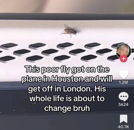 I hope he's doing ok - meme