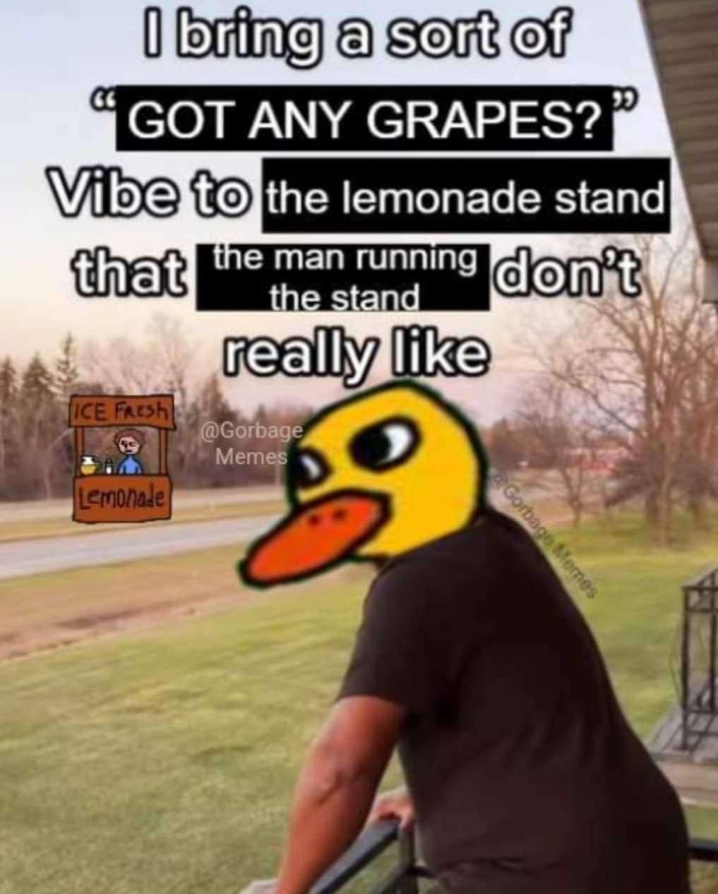 got any grapes? duck vibes activated - meme