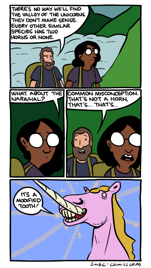 Unicorns are real - meme