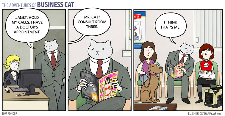 Business cat !!!!!! - meme