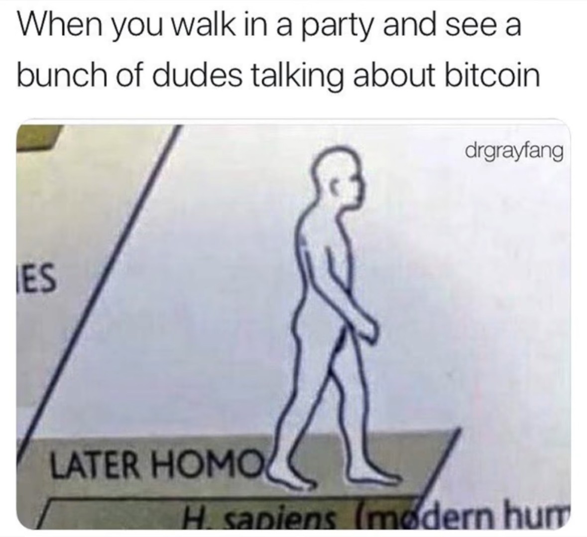 Bitcoin is dead af - meme