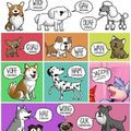 Dog languages