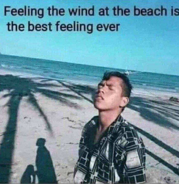 I love the wind - meme