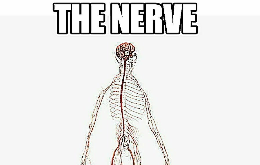 Le nerve - meme
