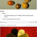 Bunnies agenda: The ladybugs are on to us