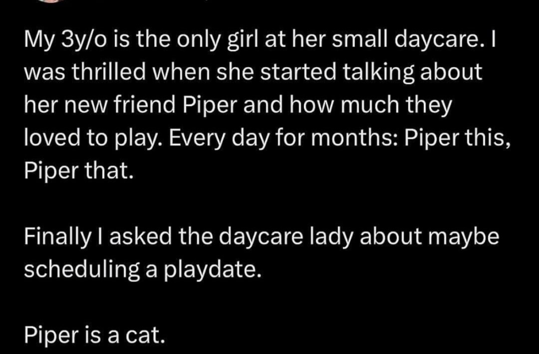 her new bestie from daycare was a literal cat - meme
