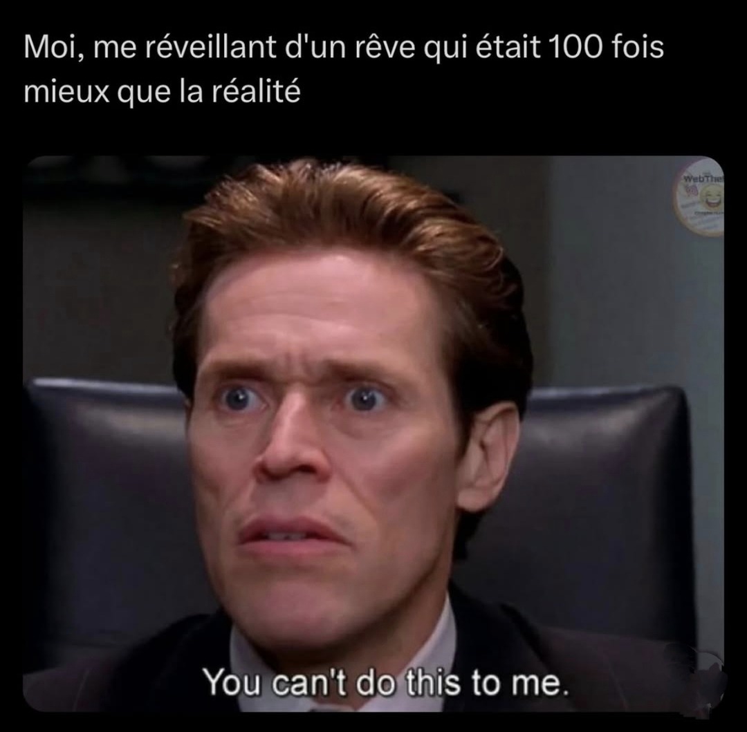 Quand ton rêve est trop stylé et la vraie vie te déprime sec - meme