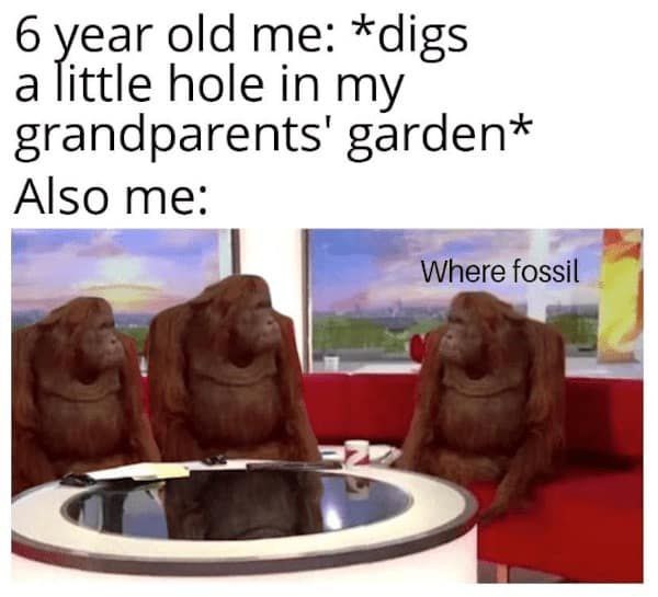 6 year old me: found a fossil in the yard - meme