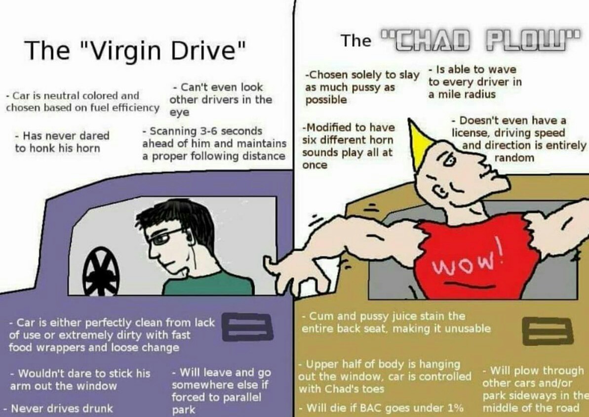 dongs in a car - meme