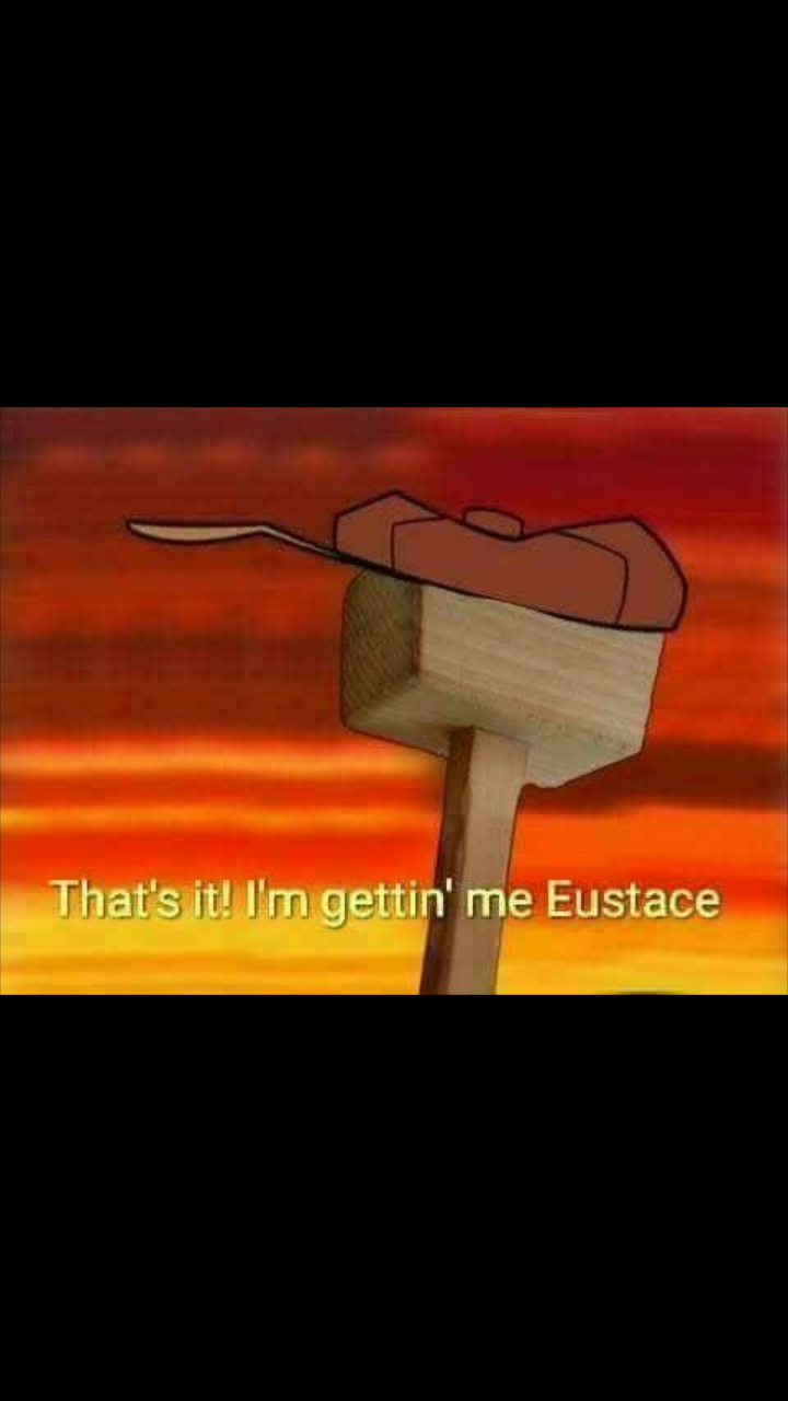 I too like whacking people with my eustace.......im a women by the way - meme