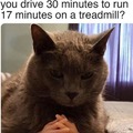 Thinking cat meme