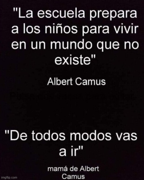 meme de Albert Camus