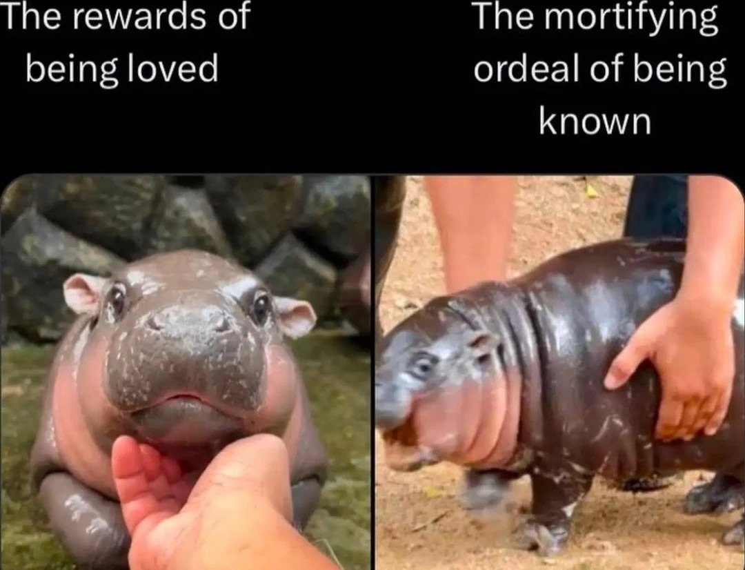 Fame meme